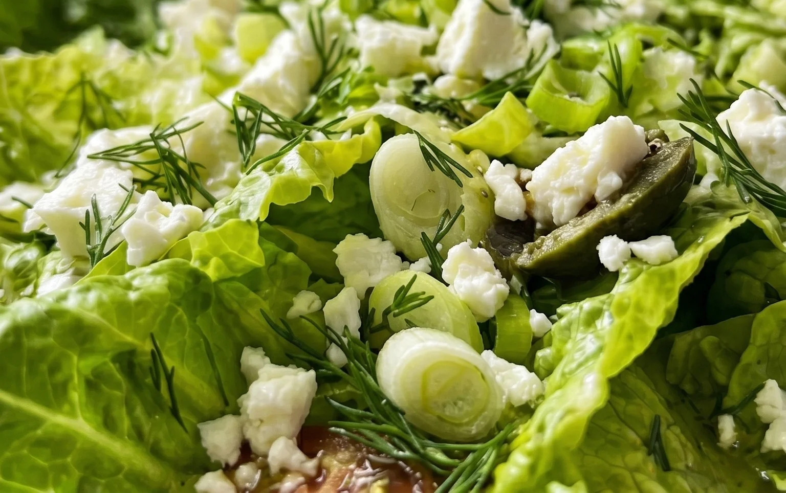 Maroulosalata (Greek Lettuce Salad)